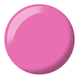 French Rose #577